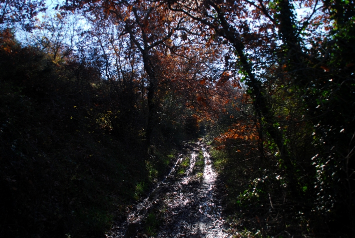 Clicca qui per vedere l'immagine in dettaglio